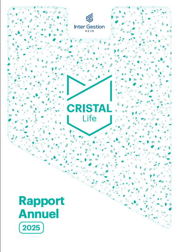 Rapport annuel